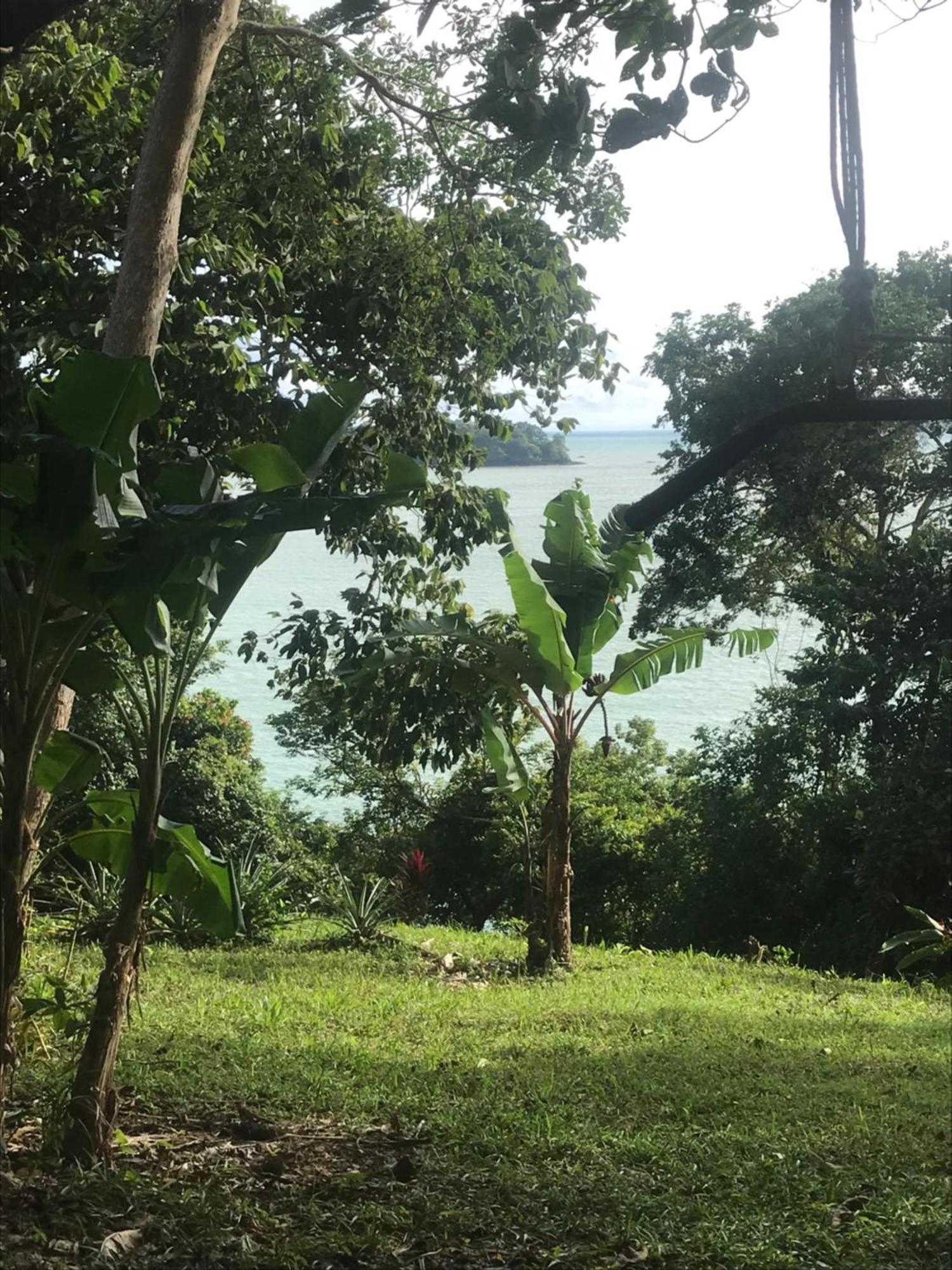 Howlers Bay Cabin And Camping Boca Chica Luaran gambar